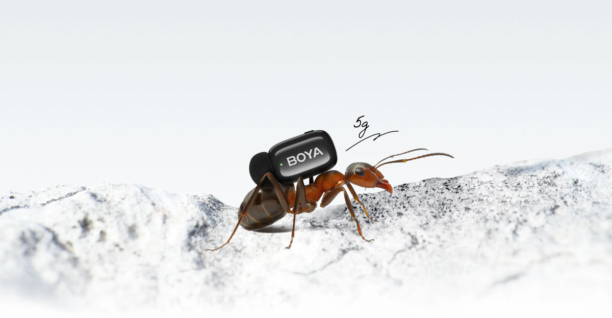 <h2 id="mini2-q">Dive into the Mini</h2>

<script type="text/javascript" class="notranslate" translate="no" data-transcy="ignore">
(function () {

  var root = document.getElementById("mini2-q");

  if (!root) {
    return;
  }

  var styleId = "mini2-q-style";
  var oldStyle = document.getElementById(styleId);

  if (oldStyle) {
    oldStyle.remove();
  }

  var css = [

    "#mini2-q{",

    "font-family:-apple-system,BlinkMacSystemFont,\"SF Pro Display\",\"Segoe UI\",Roboto,Helvetica,Arial,sans-serif !important;",

    "font-size:44px !important;",
    "font-weight:700 !important;",
    "font-style:normal !important;",
    "letter-spacing:0em !important;",
    "line-height:44px !important;",

    "text-align:center !important;",

    "color:#1D1D1F !important;",

    "background:linear-gradient(180deg,#0c0c0c 0%,#141414 30%,#242424 45%,#404040 60%,#7a7a7a 90%,#1D1D1F 100%) !important;",

    "-webkit-background-clip:text !important;",
    "background-clip:text !important;",
    "-webkit-text-fill-color:transparent !important;",

    "background-repeat:no-repeat !important;",
    "background-position:center top !important;",

    "margin:0 auto 16px auto !important;",

    "padding:18px 0 15px 0 !important;",

    "display:block !important;",

    "width:100% !important;",
    "max-width:100% !important;",

    "height:auto !important;",

    "box-sizing:border-box !important;",

    "overflow:visible !important;",

    "white-space:normal !important;",
    "word-break:normal !important;",
    "overflow-wrap:break-word !important;",
    "hyphens:none !important;",
    "-webkit-hyphens:none !important;",

    "-webkit-font-smoothing:antialiased !important;",
    "text-rendering:optimizeLegibility !important;",

    "}",


    "@media screen and (max-width:768px){",

    "#mini2-q{",

    "font-size:33px !important;",
    "font-weight:700 !important;",
    "letter-spacing:-0.4px !important;",
    "line-height:33px !important;",

    "text-align:center !important;",

    "margin-bottom:5px !important;",

    "padding:20px 0 12px 0 !important;",

    "}",

    "}"

  ].join("");


  var style = document.createElement("style");

  style.id = styleId;
  style.type = "text/css";
  style.className = "notranslate";

  style.setAttribute("translate", "no");
  style.setAttribute("data-transcy", "ignore");

  style.textContent = css;

  document.head.appendChild(style);

})();
</script>