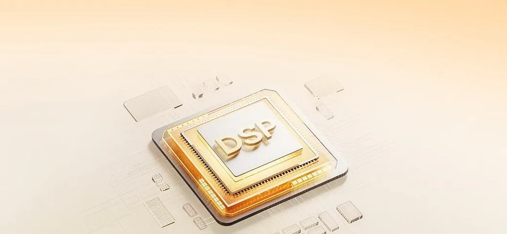 DSP Anti-Feedback Chip