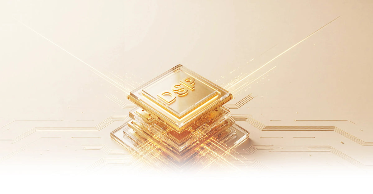 DSP Anti-Feedback Chip