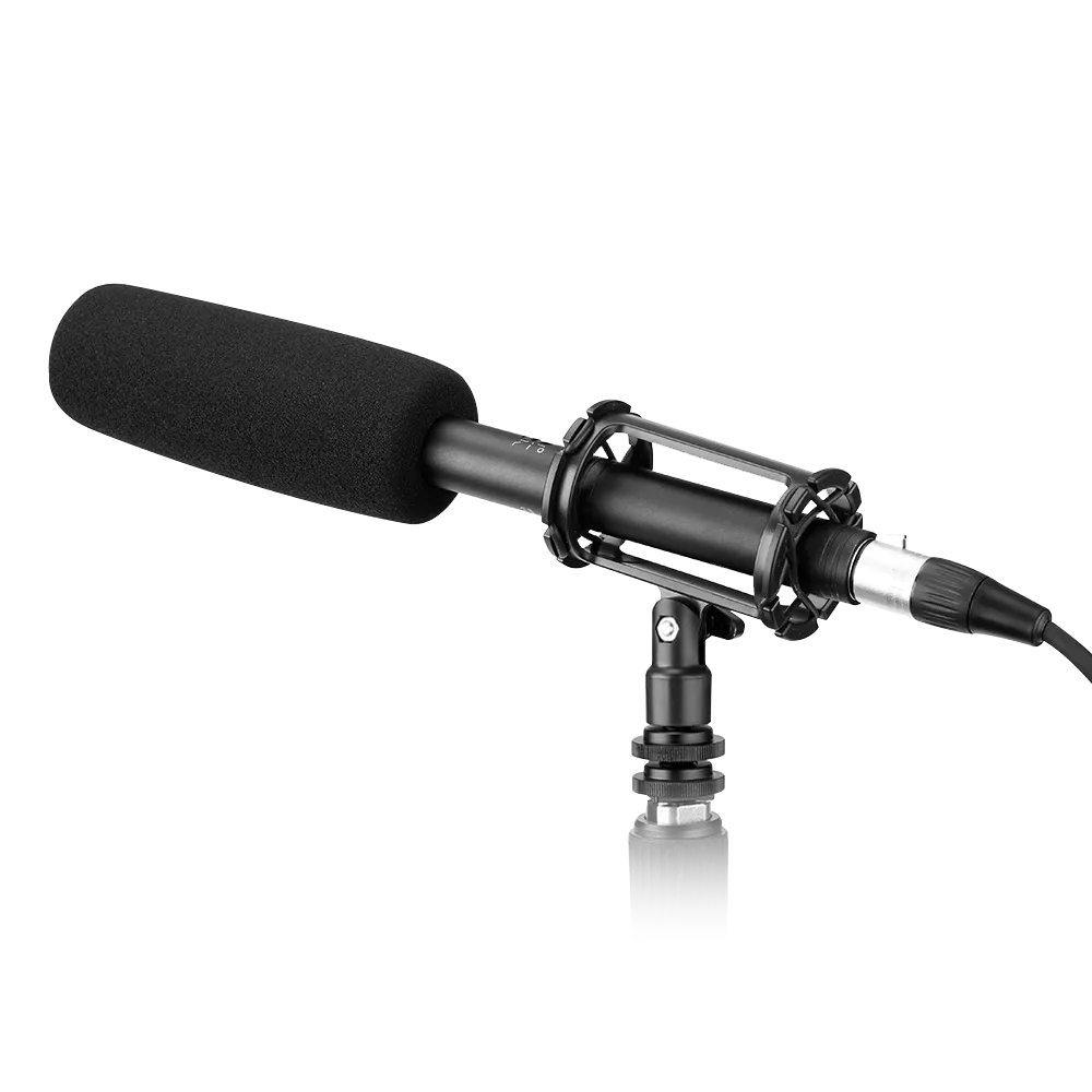 BY-BM6060 | Super-cardioid condenser microphone